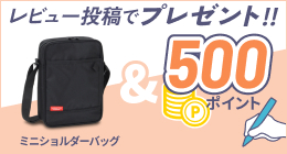 レビューでプレゼント