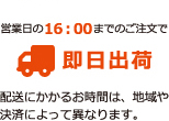 即日配達